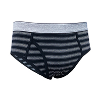 MENS PINSTRIPES BRIEF