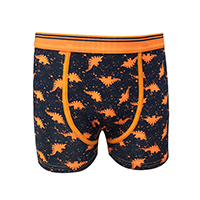 BOYS NEON DINO TRUNK